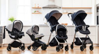 UPPAbaby Vista V3 vs Bugaboo Strollers: Honest Comparison