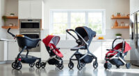 Top Stroller Picks: UPPAbaby Vista V3 & Nuna MIXX Review