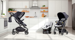 UPPAbaby / Nuna Nuna PIPA vs UPPAbaby / Nuna Nuna DEMI: Full Comparison